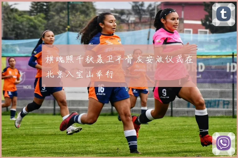 棋魂照千秋聂卫平骨灰安放仪式在北京八宝山举行