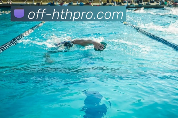 华体会官方入口全站App 华体会官方入口全站App